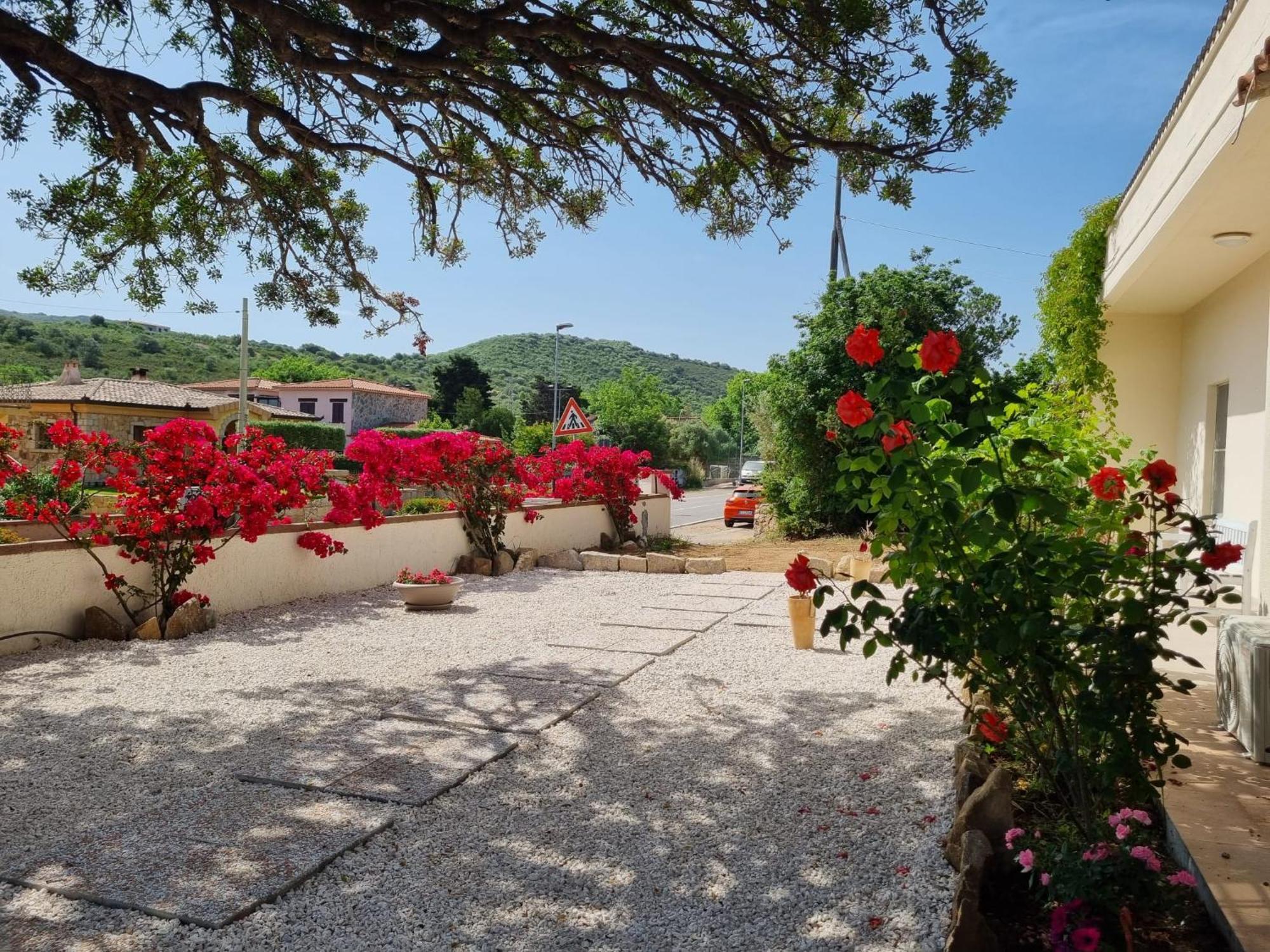 Stazzo San Teodoro Piscina Condivisa Daire Dış mekan fotoğraf